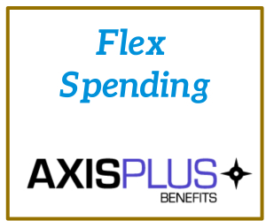 Flex Spending - Axis Plus