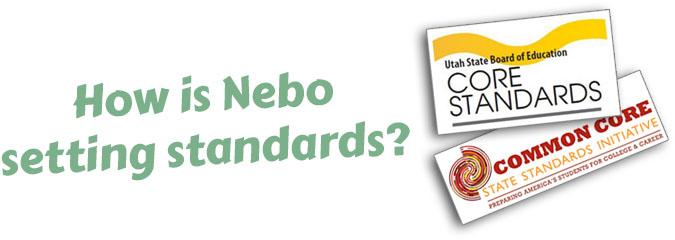 How is Nebo setting standards?